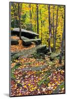 Autumn Boulders-KennethKeifer-Mounted Photographic Print