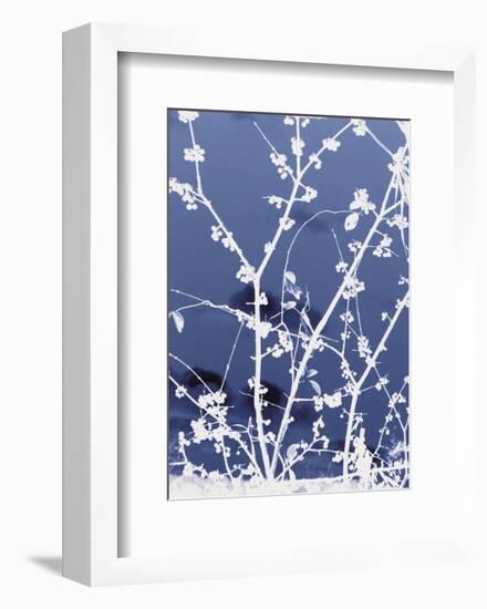 Autumn Branch (blue)-Jenny Kraft-Framed Art Print