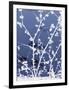 Autumn Branch (blue)-Jenny Kraft-Framed Art Print