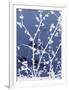 Autumn Branch (blue)-Jenny Kraft-Framed Art Print