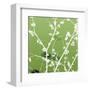 Autumn Branch (green) (square crop)-Jenny Kraft-Framed Art Print