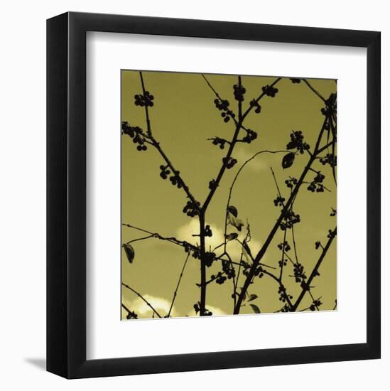 Autumn Branch (sepia) (detail)-Jenny Kraft-Framed Art Print