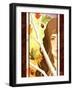 Autumn Branches-Dalliann-Framed Giclee Print