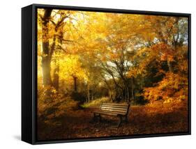 Autumn Break-Philippe Manguin-Framed Stretched Canvas