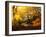 Autumn Break-Philippe Manguin-Framed Photographic Print