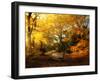 Autumn Break-Philippe Manguin-Framed Photographic Print