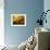 Autumn Break-Philippe Manguin-Framed Photographic Print displayed on a wall