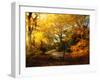 Autumn Break-Philippe Manguin-Framed Photographic Print