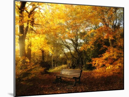 Autumn Break-Philippe Manguin-Mounted Photographic Print