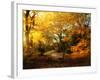 Autumn Break-Philippe Manguin-Framed Photographic Print