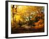 Autumn Break-Philippe Manguin-Framed Photographic Print