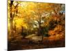 Autumn Break-Philippe Manguin-Mounted Photographic Print