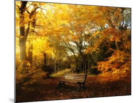 Autumn Break-Philippe Manguin-Mounted Photographic Print