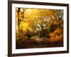 Autumn Break-Philippe Manguin-Framed Photographic Print