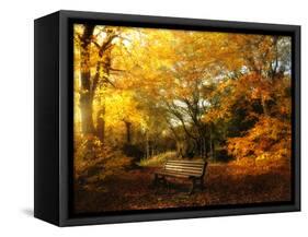 Autumn Break-Philippe Manguin-Framed Stretched Canvas