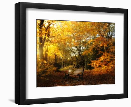 Autumn Break-Philippe Manguin-Framed Photographic Print