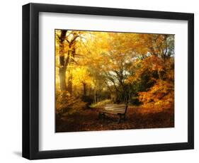 Autumn Break-Philippe Manguin-Framed Photographic Print