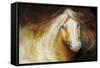 Autumn Breeze Equine-Marcia Baldwin-Framed Stretched Canvas