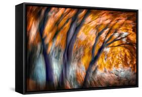 Autumn Breeze-Ursula Abresch-Framed Stretched Canvas