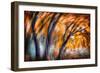 Autumn Breeze-Ursula Abresch-Framed Photographic Print