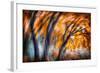 Autumn Breeze-Ursula Abresch-Framed Photographic Print