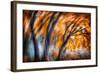 Autumn Breeze-Ursula Abresch-Framed Photographic Print