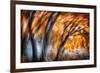 Autumn Breeze-Ursula Abresch-Framed Photographic Print