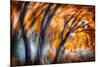 Autumn Breeze-Ursula Abresch-Mounted Photographic Print