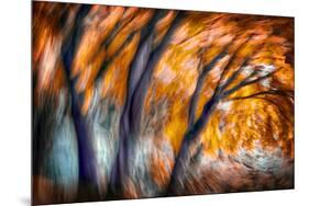 Autumn Breeze-Ursula Abresch-Mounted Photographic Print