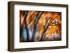 Autumn Breeze-Ursula Abresch-Framed Photographic Print