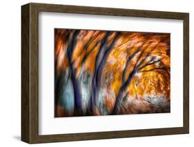 Autumn Breeze-Ursula Abresch-Framed Photographic Print