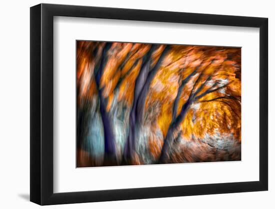 Autumn Breeze-Ursula Abresch-Framed Photographic Print