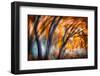 Autumn Breeze-Ursula Abresch-Framed Photographic Print