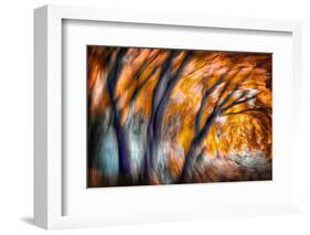 Autumn Breeze-Ursula Abresch-Framed Photographic Print