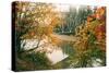 Autumn Bridge, Coulmbiua River Gorge, Portland, Oregon-Vincent James-Stretched Canvas