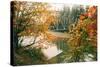 Autumn Bridge, Coulmbiua River Gorge, Portland, Oregon-Vincent James-Stretched Canvas