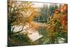 Autumn Bridge, Coulmbiua River Gorge, Portland, Oregon-Vincent James-Mounted Photographic Print