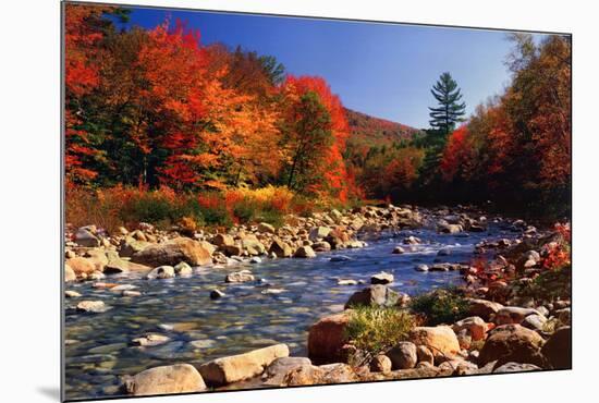 Autumn Brook-null-Mounted Poster