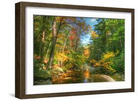 Autumn Brook-Robert Goldwitz-Framed Photographic Print