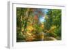 Autumn Brook-Robert Goldwitz-Framed Photographic Print