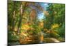 Autumn Brook-Robert Goldwitz-Mounted Photographic Print