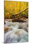 Autumn Brook-Mark Geistweite-Mounted Photographic Print