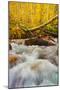 Autumn Brook-Mark Geistweite-Mounted Photographic Print