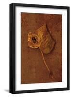 Autumn Brown-Den Reader-Framed Premium Photographic Print
