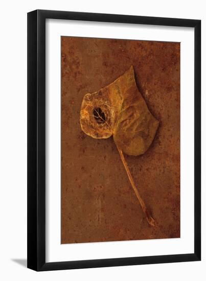 Autumn Brown-Den Reader-Framed Photographic Print