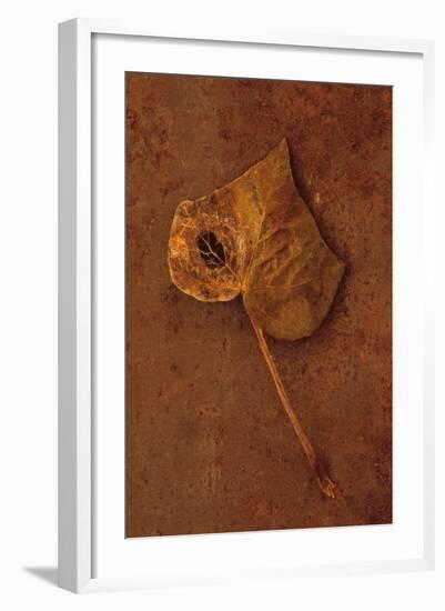 Autumn Brown-Den Reader-Framed Photographic Print