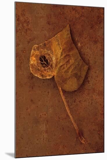 Autumn Brown-Den Reader-Mounted Photographic Print