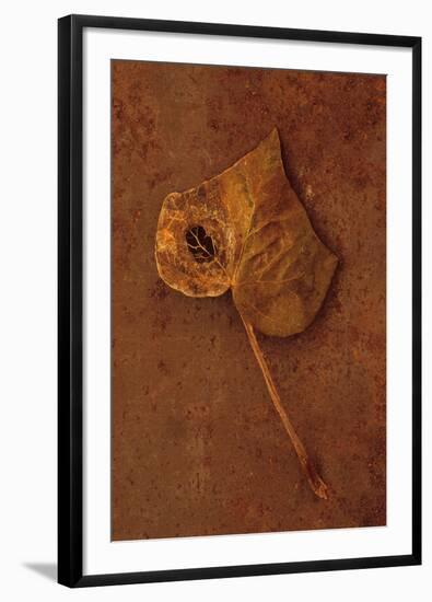 Autumn Brown-Den Reader-Framed Photographic Print