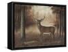 Autumn Buck-Robert Wavra-Framed Stretched Canvas