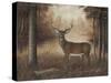 Autumn Buck-Robert Wavra-Stretched Canvas